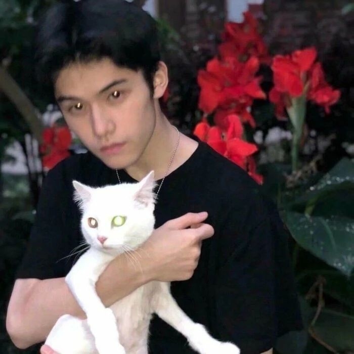 爷的魅力你不懂的第一张照片--台湾残疾人相亲网