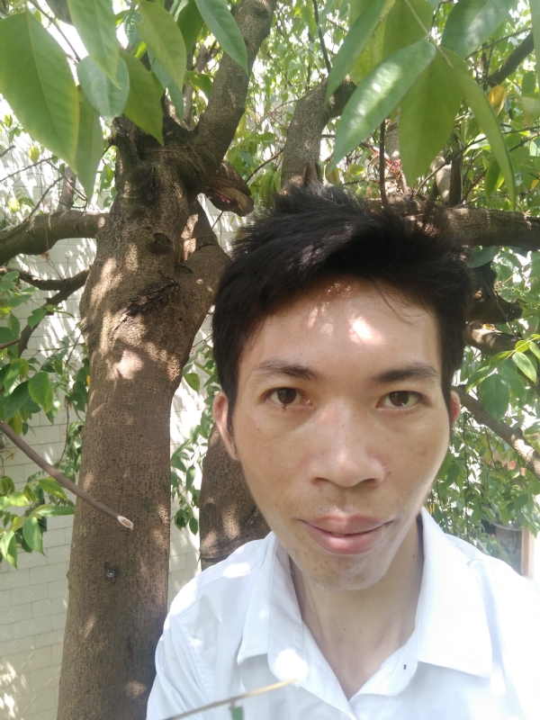 求缘的第一张照片--台湾残疾人相亲网